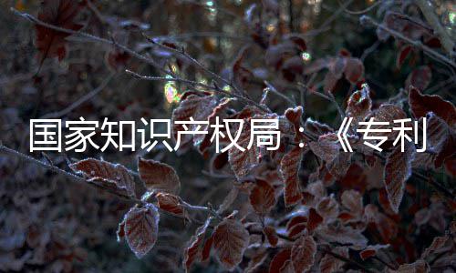 设立利审理审知识专专门章节国家工智产权查指查南能伦强人局 加